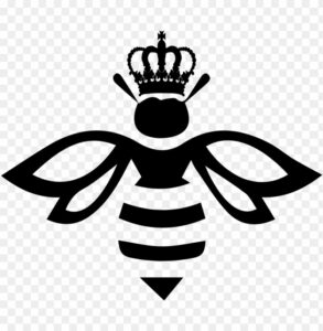 American Honey Band @ KingFish Louisville | Louisville | Kentucky | United States